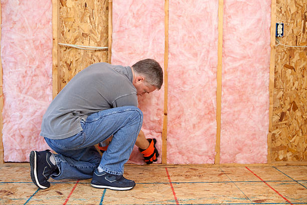 Best Types of Insulation in Winfield, MO